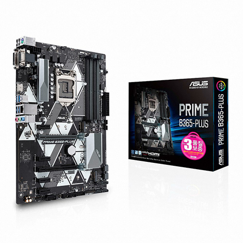 ASUS PRIME B365-PLUS STCOM